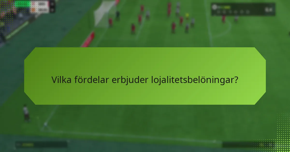 Vilka lojalitetsbelöningsprogram är de bästa?